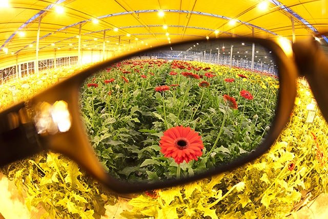 Method Seven Rendition Camera Photo Filter - HPS - BetterGrow Hydro
