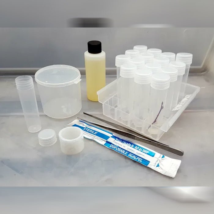 Microclone Seed Starter Kit - BetterGrow Hydro