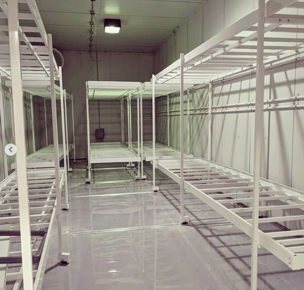 Multi - Tier Continuous / Custom Tray Bench System - per square foot - BetterGrow Hydro