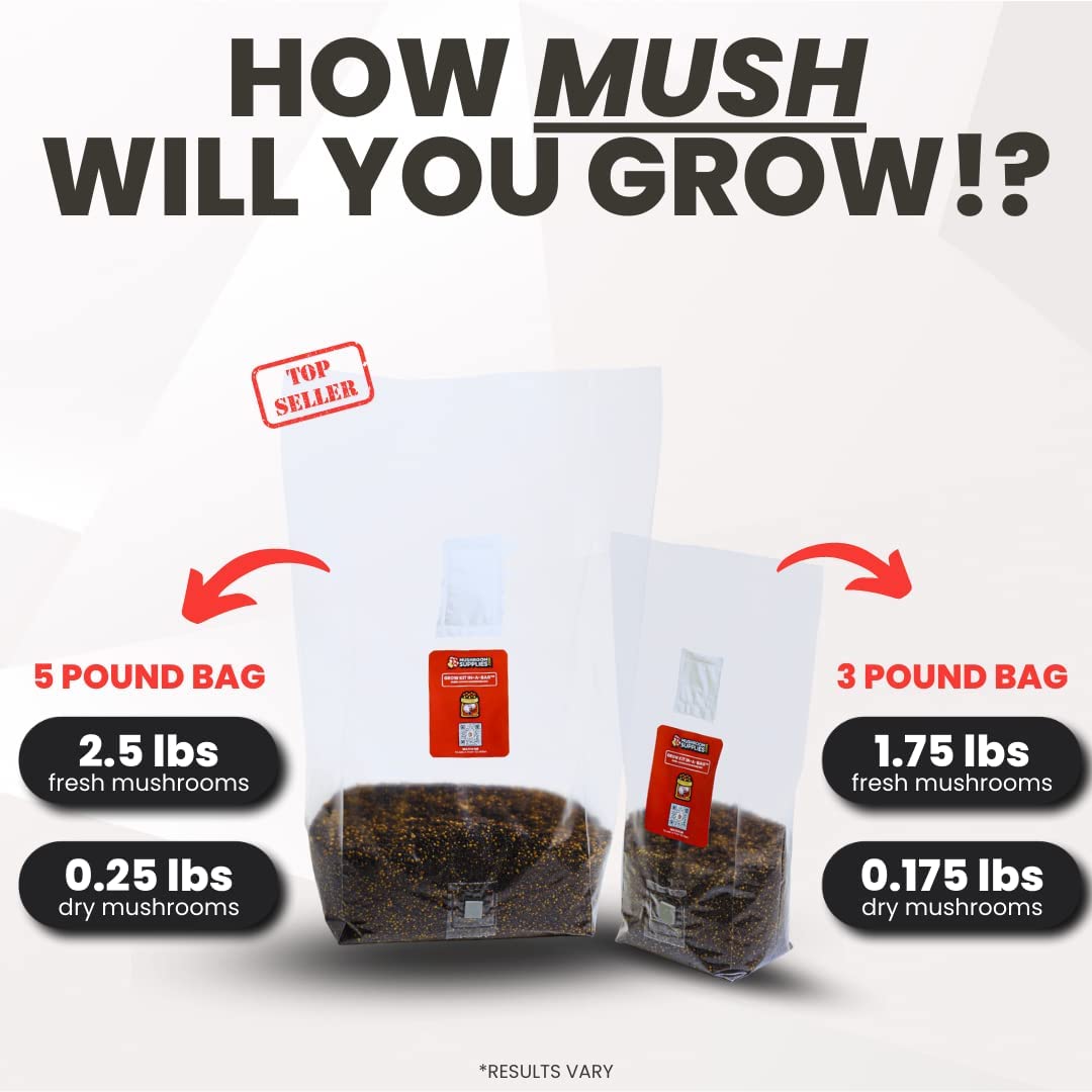 Mushroom Grow Kit in a Bag - 5 lbs - BetterGrow Hydro