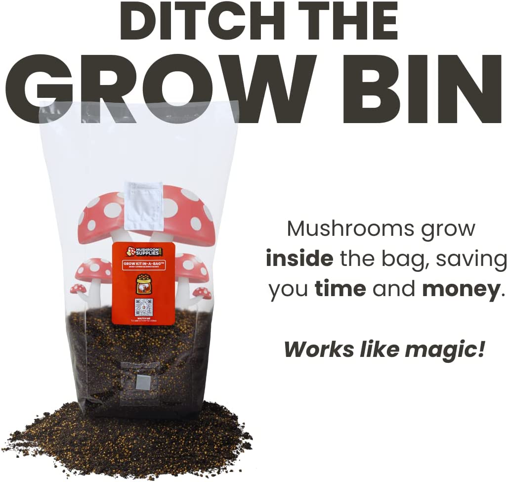 Mushroom Grow Kit in a Bag - 5 lbs - BetterGrow Hydro