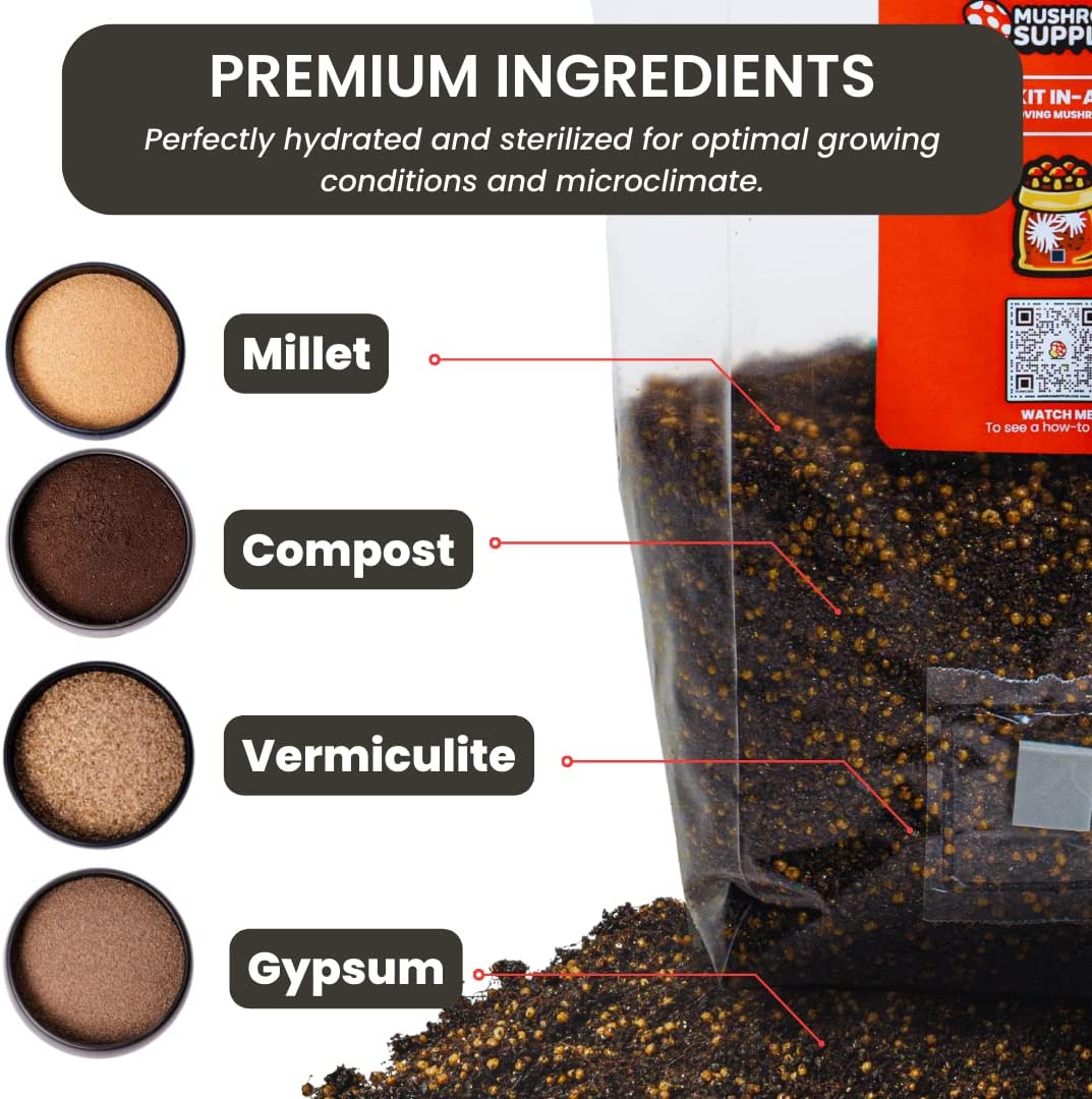 Mushroom Grow Kit in a Bag - 5 lbs - BetterGrow Hydro