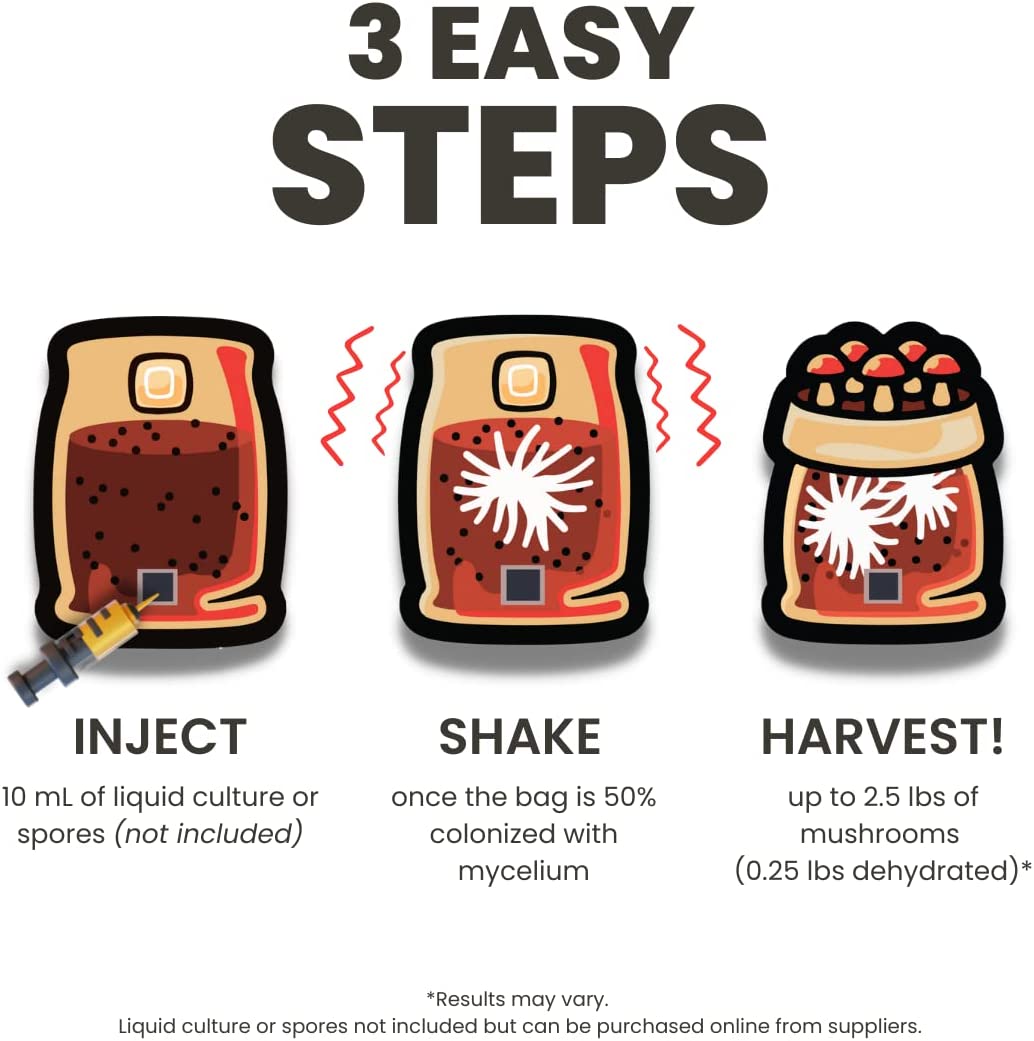 Mushroom Grow Kit in a Bag - 5 lbs - BetterGrow Hydro