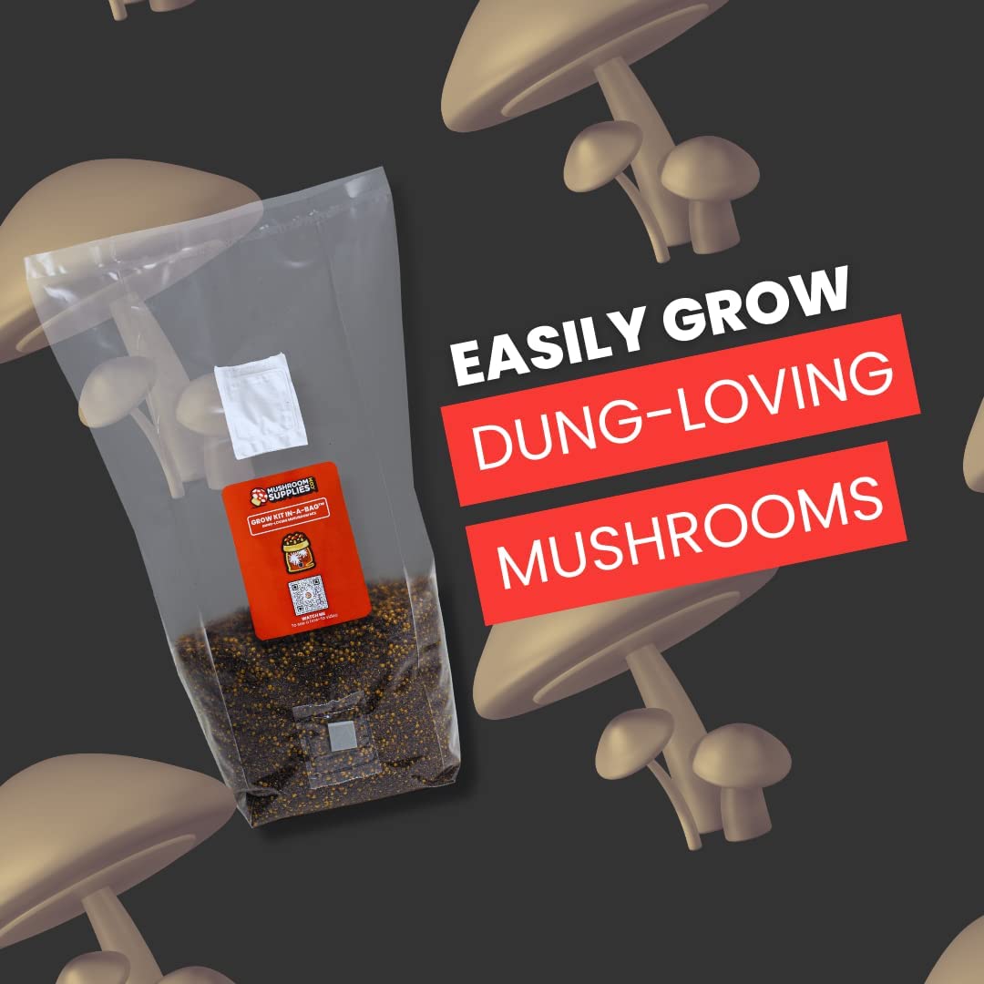 Mushroom Grow Kit in a Bag - 5 lbs - BetterGrow Hydro