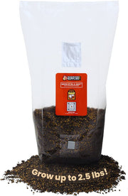 Mushroom Grow Kit in a Bag - 5 lbs - BetterGrow Hydro