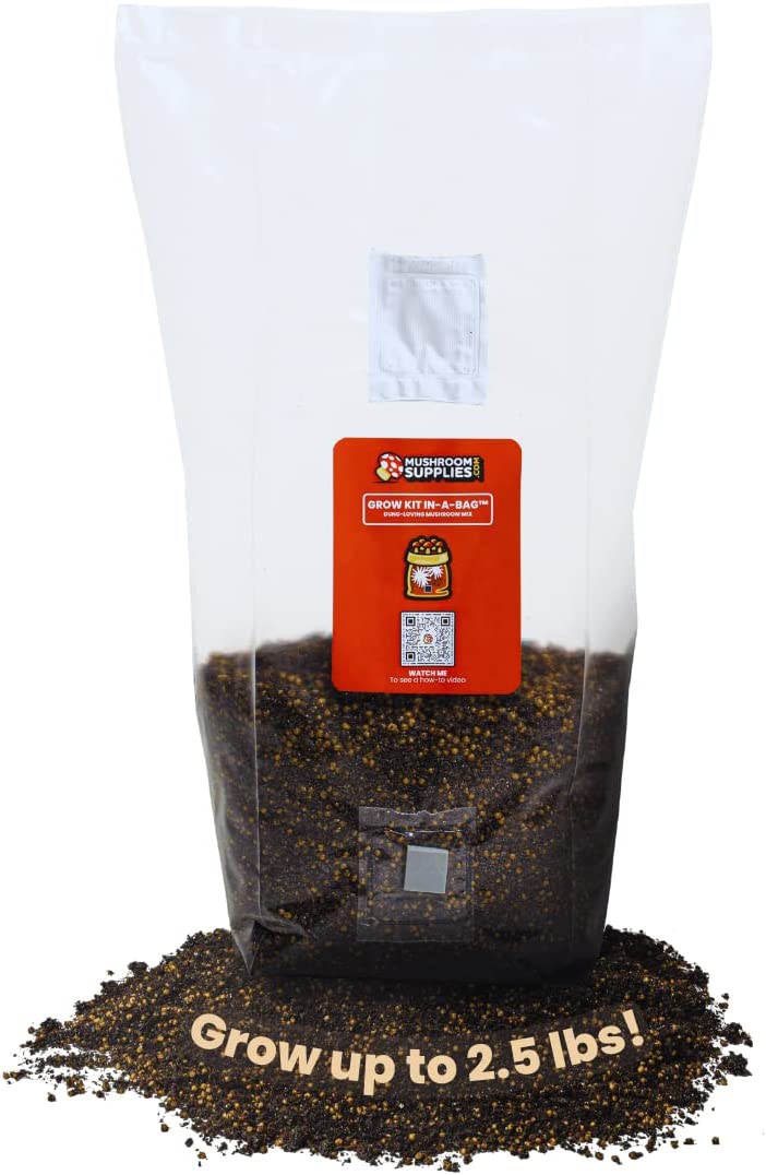 Mushroom Grow Kit in a Bag - 5 lbs - BetterGrow Hydro