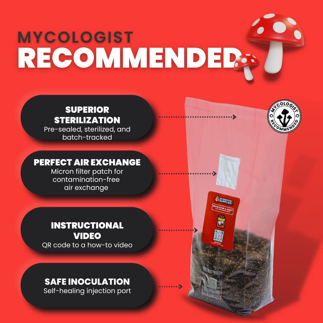 Mushroom Grow Kit in a Bag - 5 lbs - BetterGrow Hydro