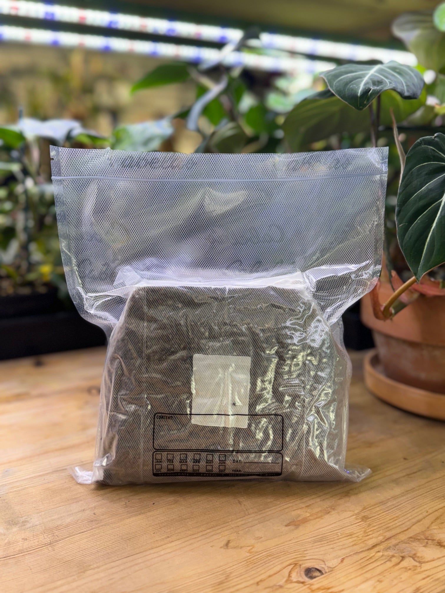 Mushroom Magic Red Milo Grain Bag - 3 lb - BetterGrow Hydro