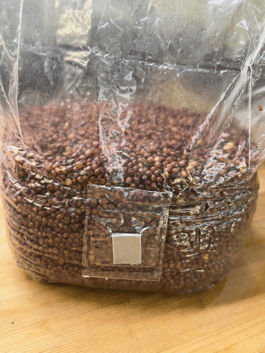 Mushroom Magic Red Milo Grain Bag - 3 lb - BetterGrow Hydro