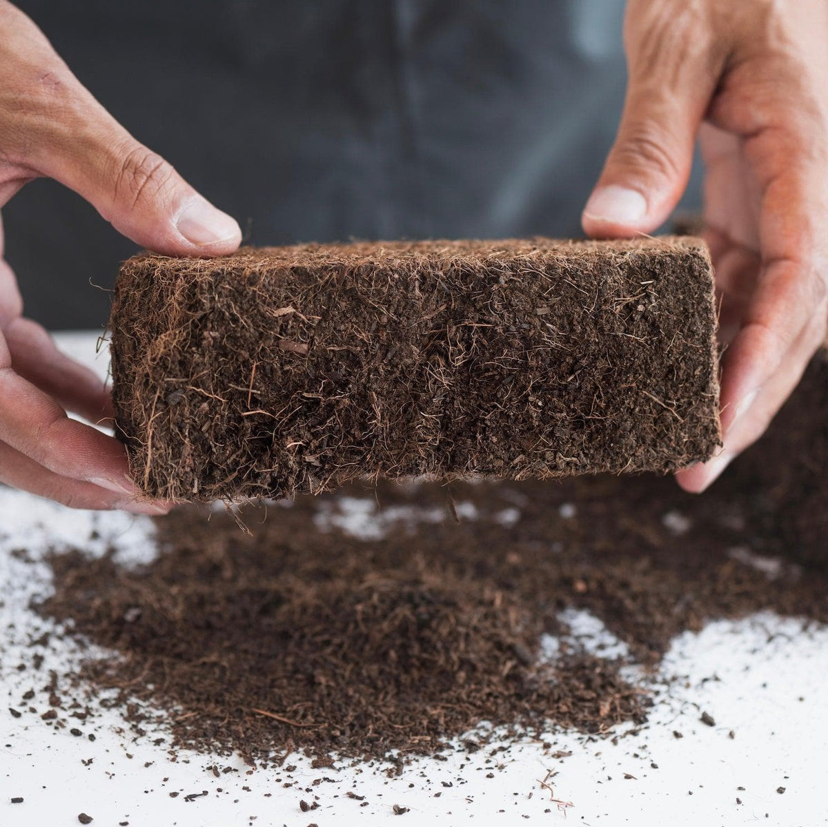 Myco Coco' Compressed Coco Coir Substrate & Casing Layer - BetterGrow Hydro