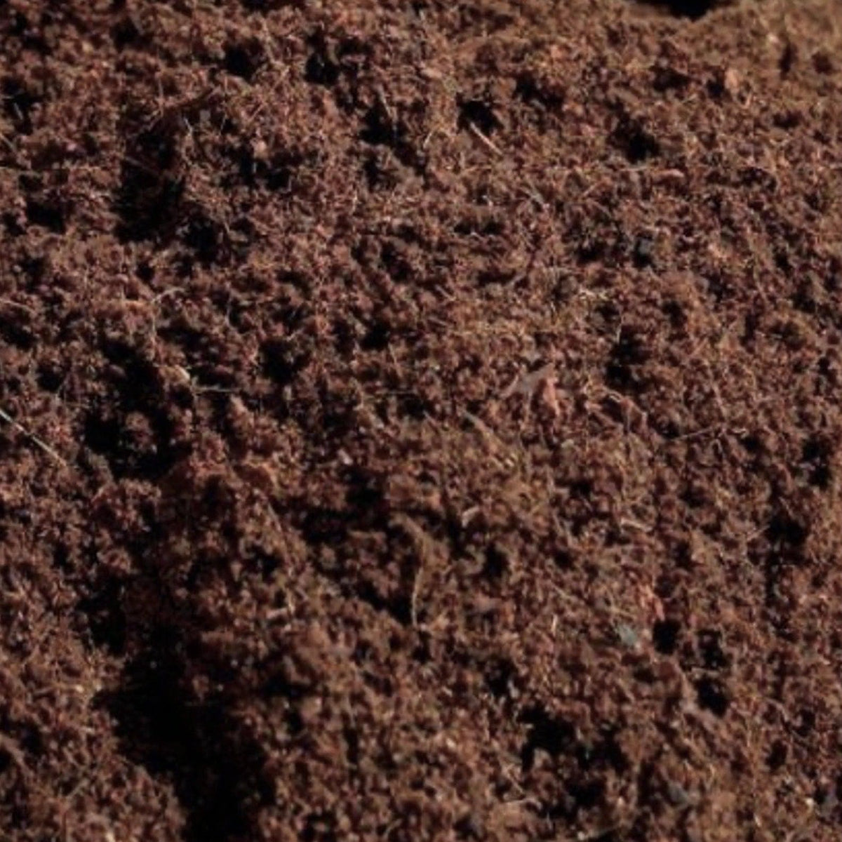 Myco Coco' Loose Coco Coir Substrate & Casing Layer - BetterGrow Hydro