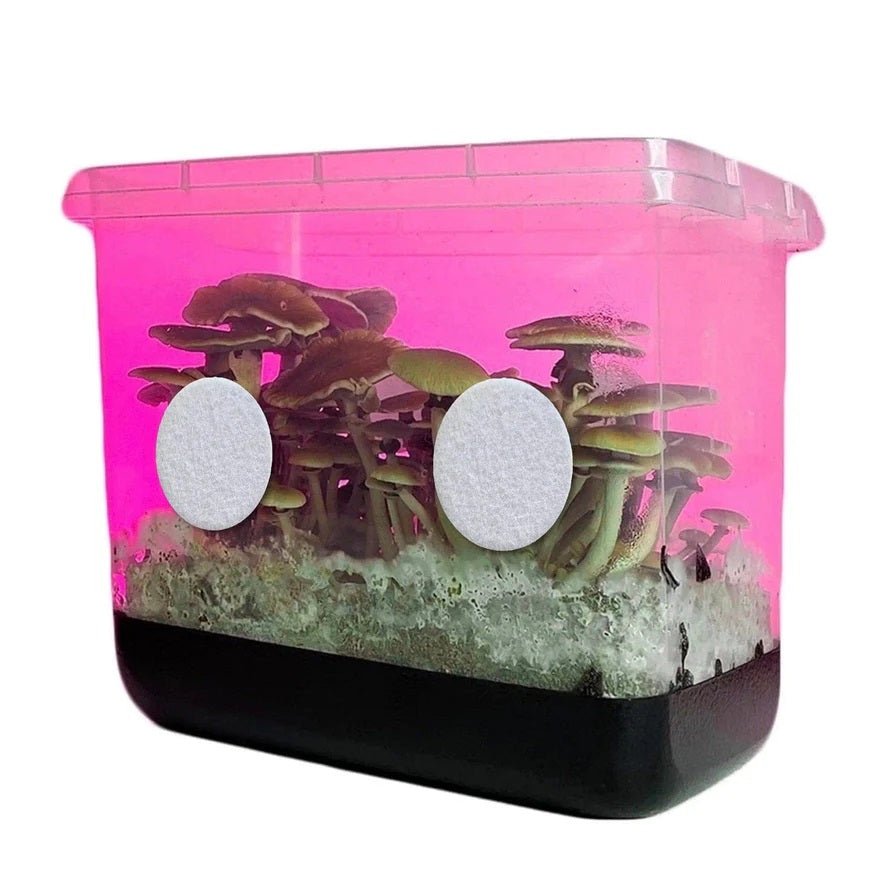 North Spore 1" Adhesive Monotub 100% Recycled Disc Filters - sheet of 12 - BetterGrow Hydro