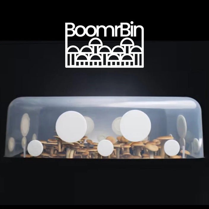 North Spore 'Boomr Bin' Dung - Loving Monotub Mushroom Grow Kit - BetterGrow Hydro