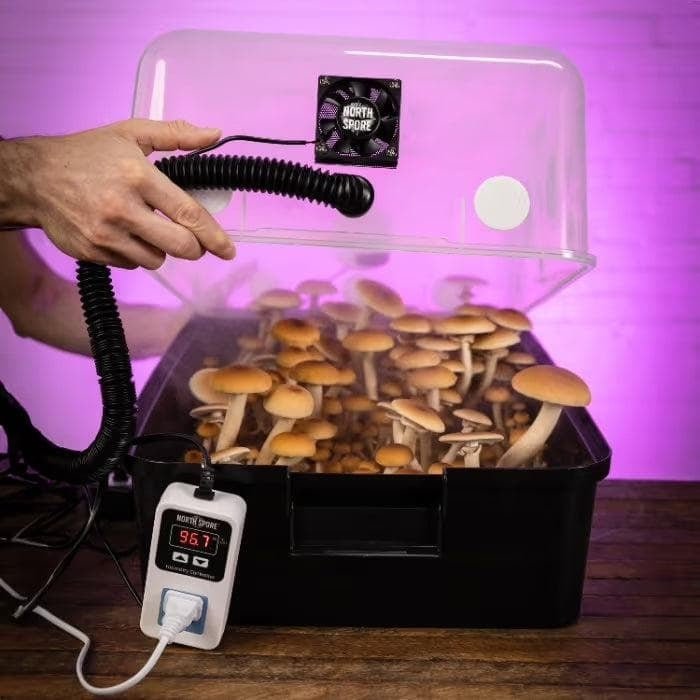 North Spore 'Boomr Bin' Mushroom Monotub - Automated - BetterGrow Hydro