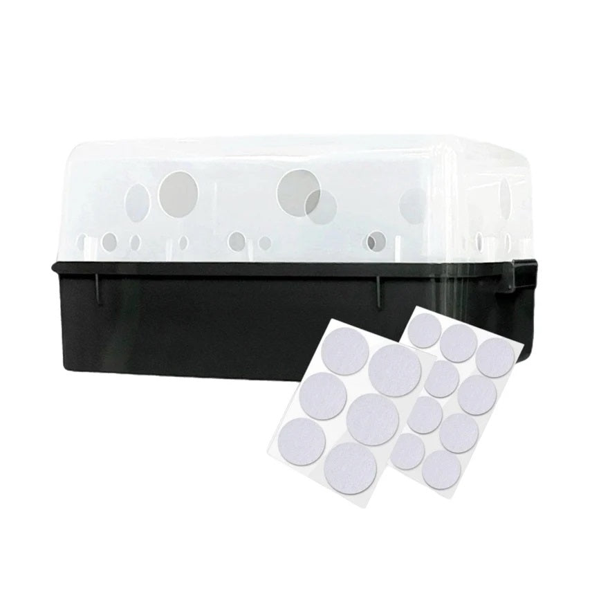 North Spore 'Boomr Bin' Mushroom Monotub + Filters - BetterGrow Hydro