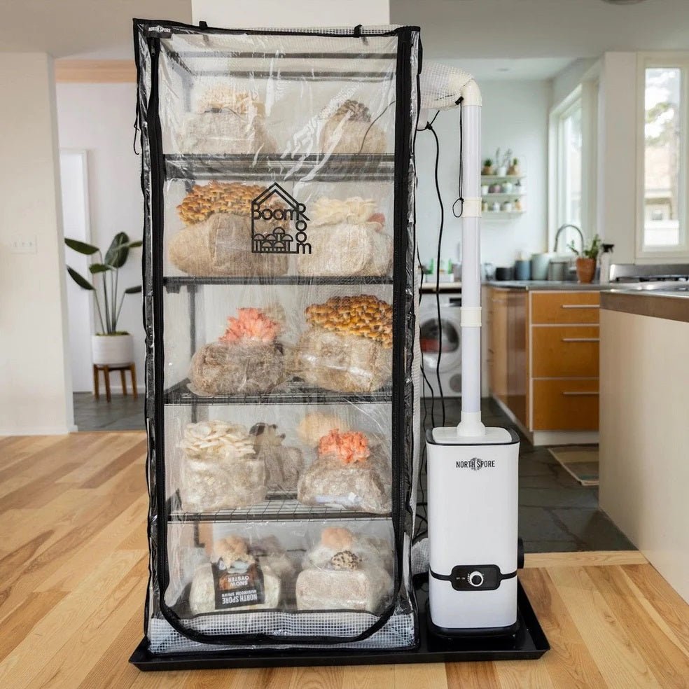 North Spore 'BoomRoom II' Automated Martha Tent Mushroom Grow Kit - BetterGrow Hydro
