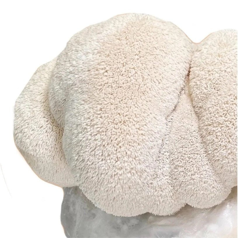 North Spore Organic Lion's Mane Mushroom Grow Kit Fruiting Block - BetterGrow Hydro