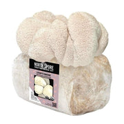 North Spore Organic Lion's Mane Mushroom Grow Kit Fruiting Block - BetterGrow Hydro