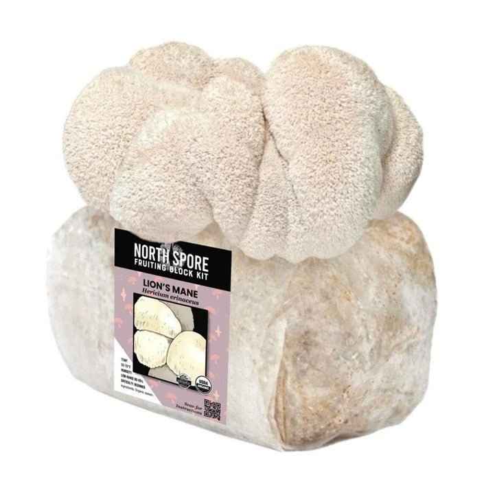 North Spore Organic Lion's Mane Mushroom Grow Kit Fruiting Block - BetterGrow Hydro