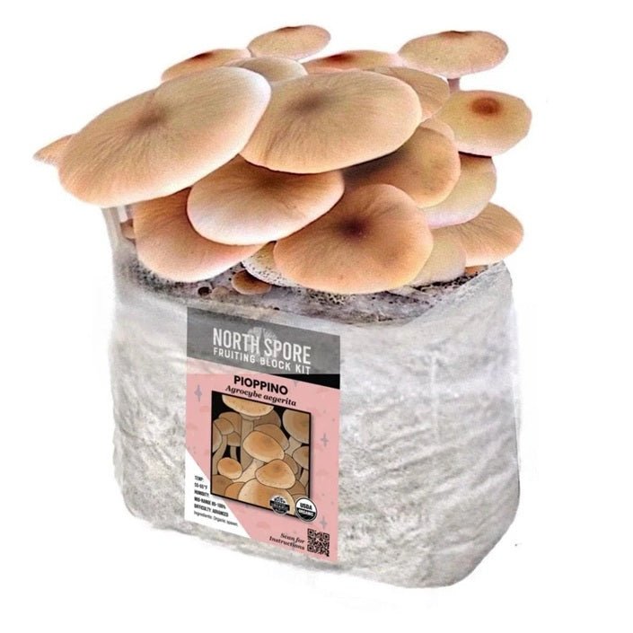 North Spore Organic Pioppino Mushroom Grow Kit Fruiting Block - BetterGrow Hydro