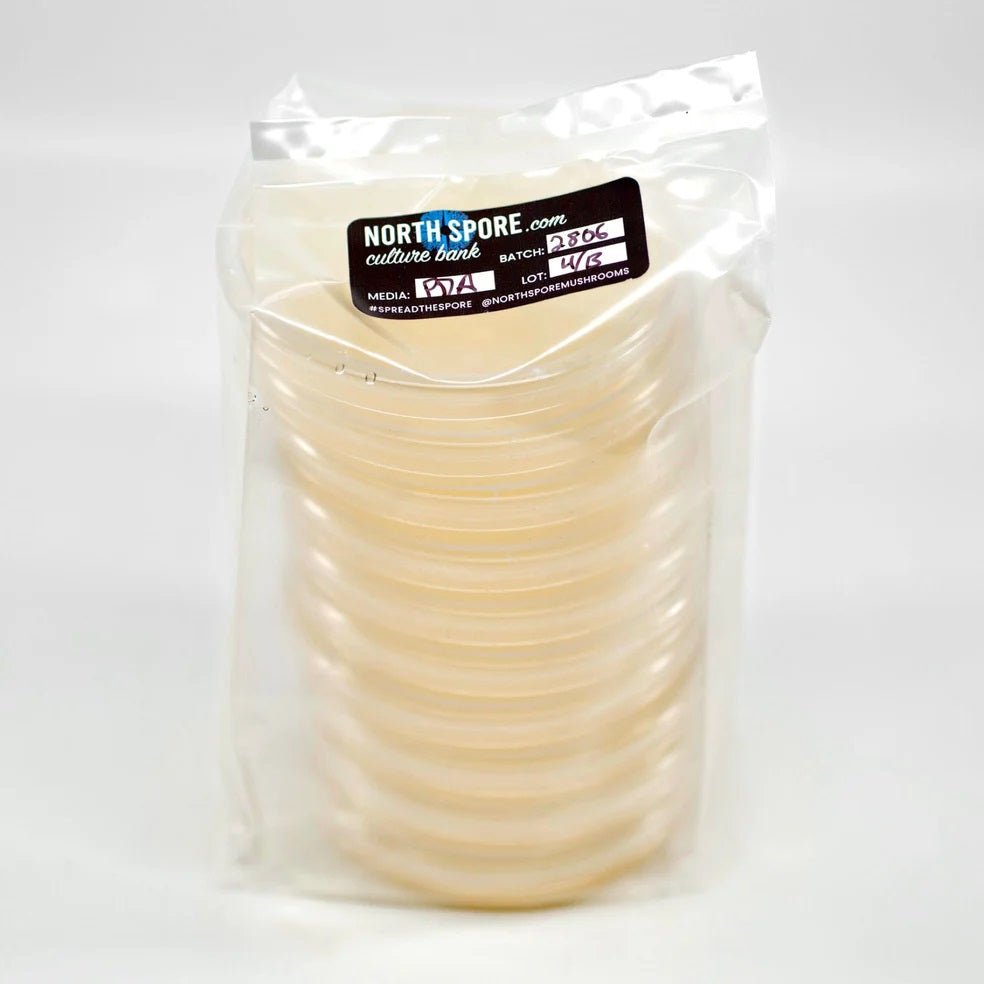 North Spore Pre - Poured Sterile Agar Plates - 10 pk - BetterGrow Hydro