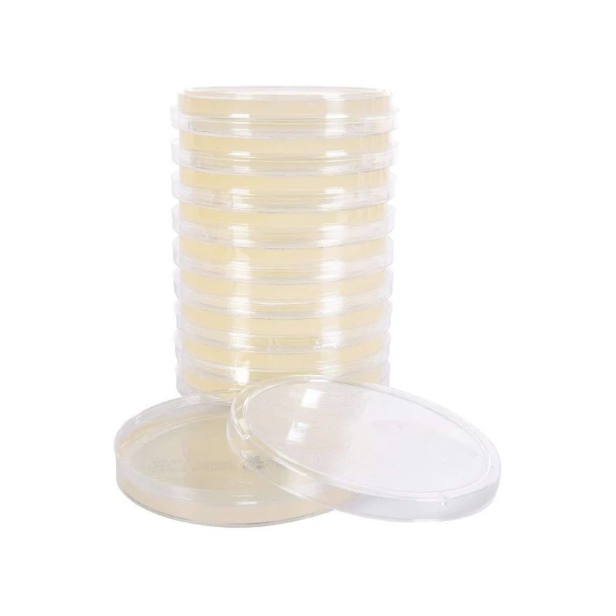 North Spore Pre - Poured Sterile Agar Plates - 10 pk - BetterGrow Hydro