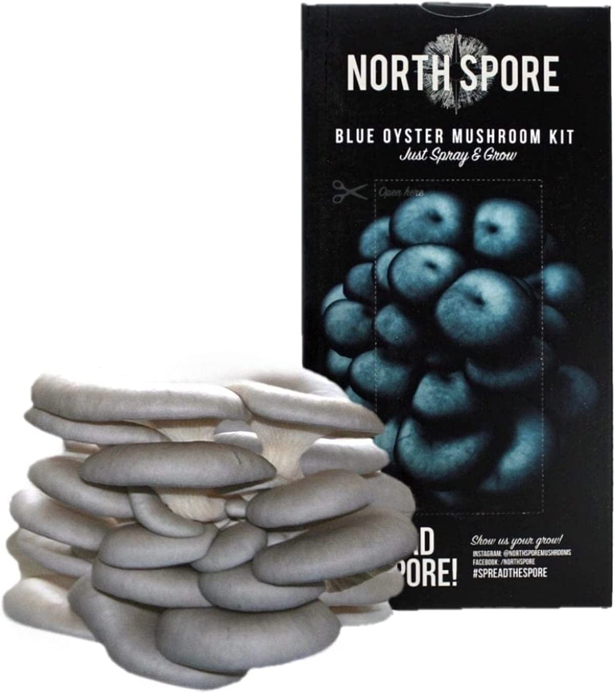Organic Blue Oyster ‘Spray & Grow’ Mushroom Growing Kit - BetterGrow Hydro