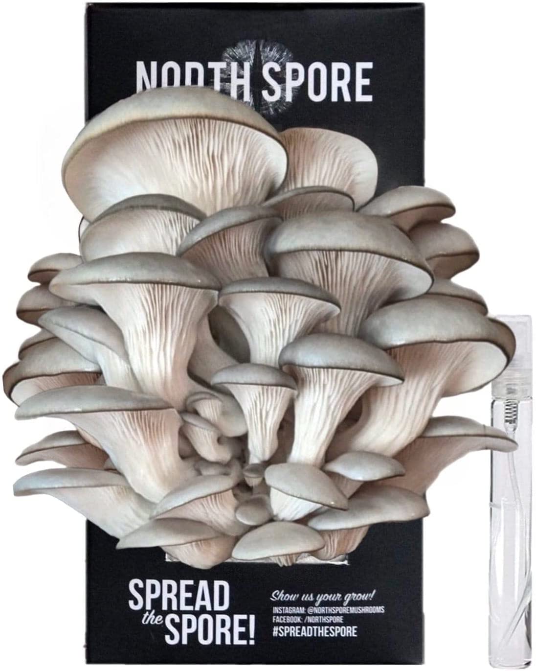 Organic Blue Oyster ‘Spray & Grow’ Mushroom Growing Kit - BetterGrow Hydro