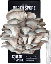 Organic Blue Oyster ‘Spray & Grow’ Mushroom Growing Kit - BetterGrow Hydro
