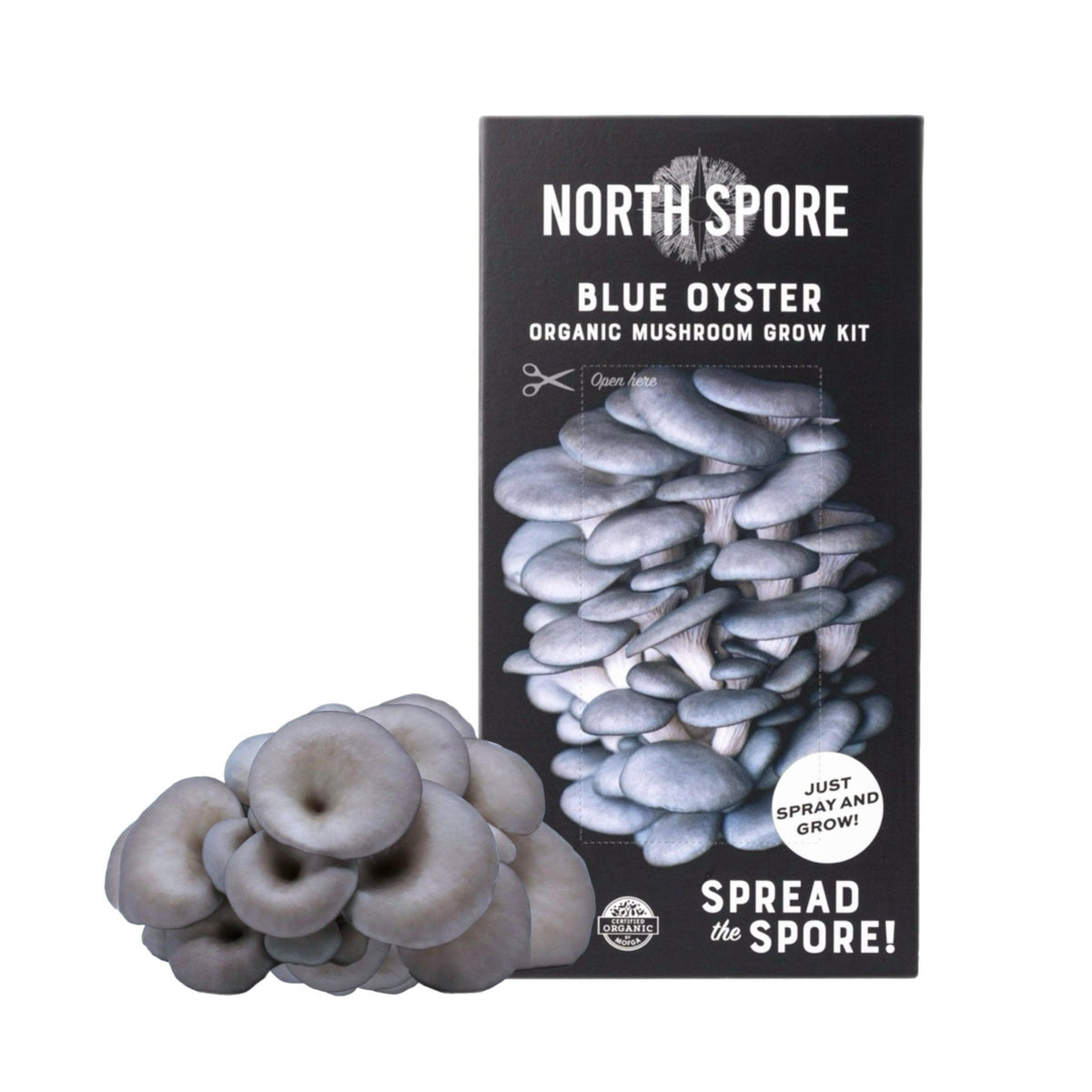Organic Blue Oyster ‘Spray & Grow’ Mushroom Growing Kit - BetterGrow Hydro