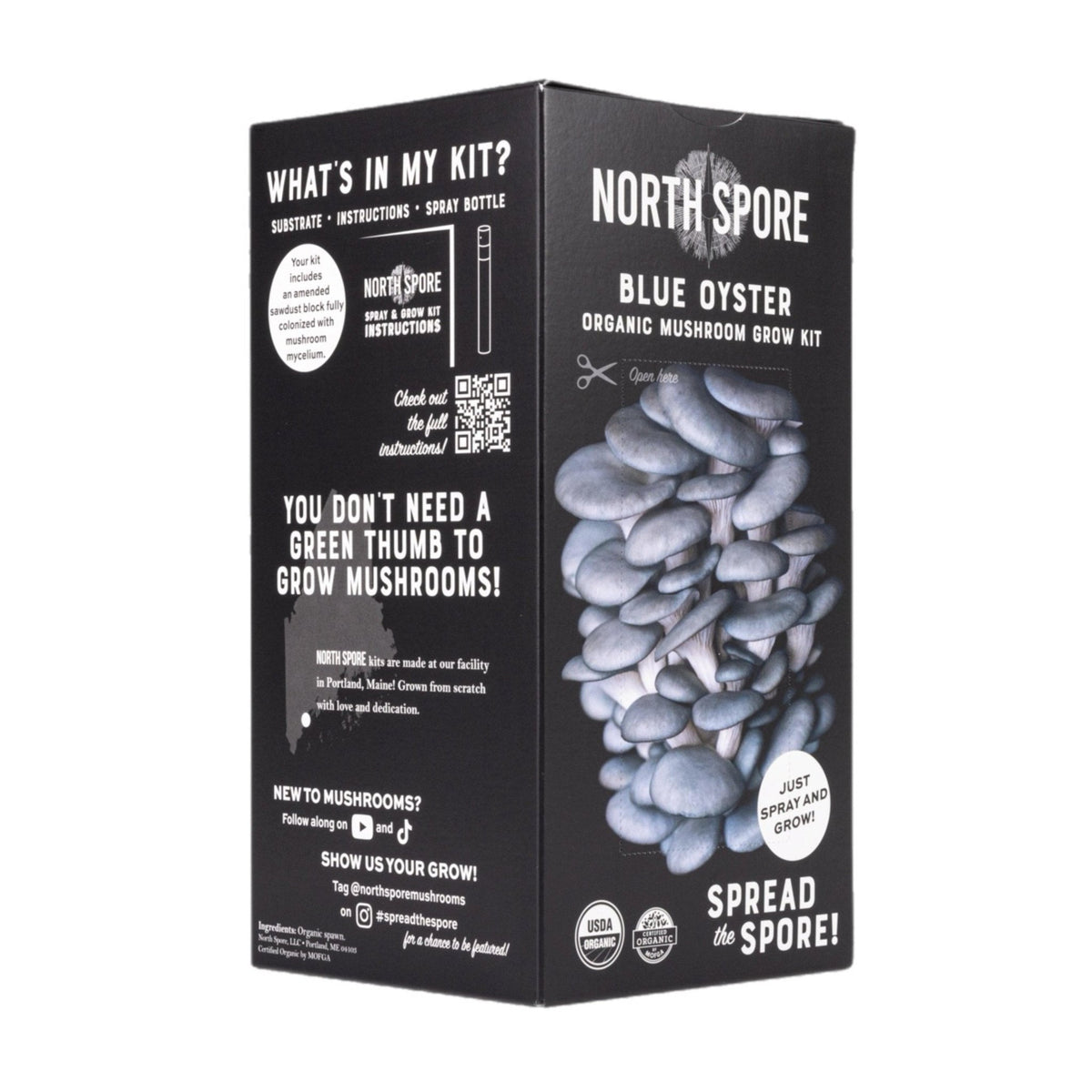 Organic Blue Oyster ‘Spray & Grow’ Mushroom Growing Kit - BetterGrow Hydro