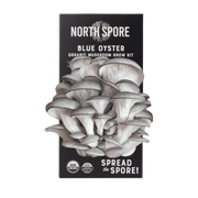 Organic Blue Oyster ‘Spray & Grow’ Mushroom Growing Kit - BetterGrow Hydro