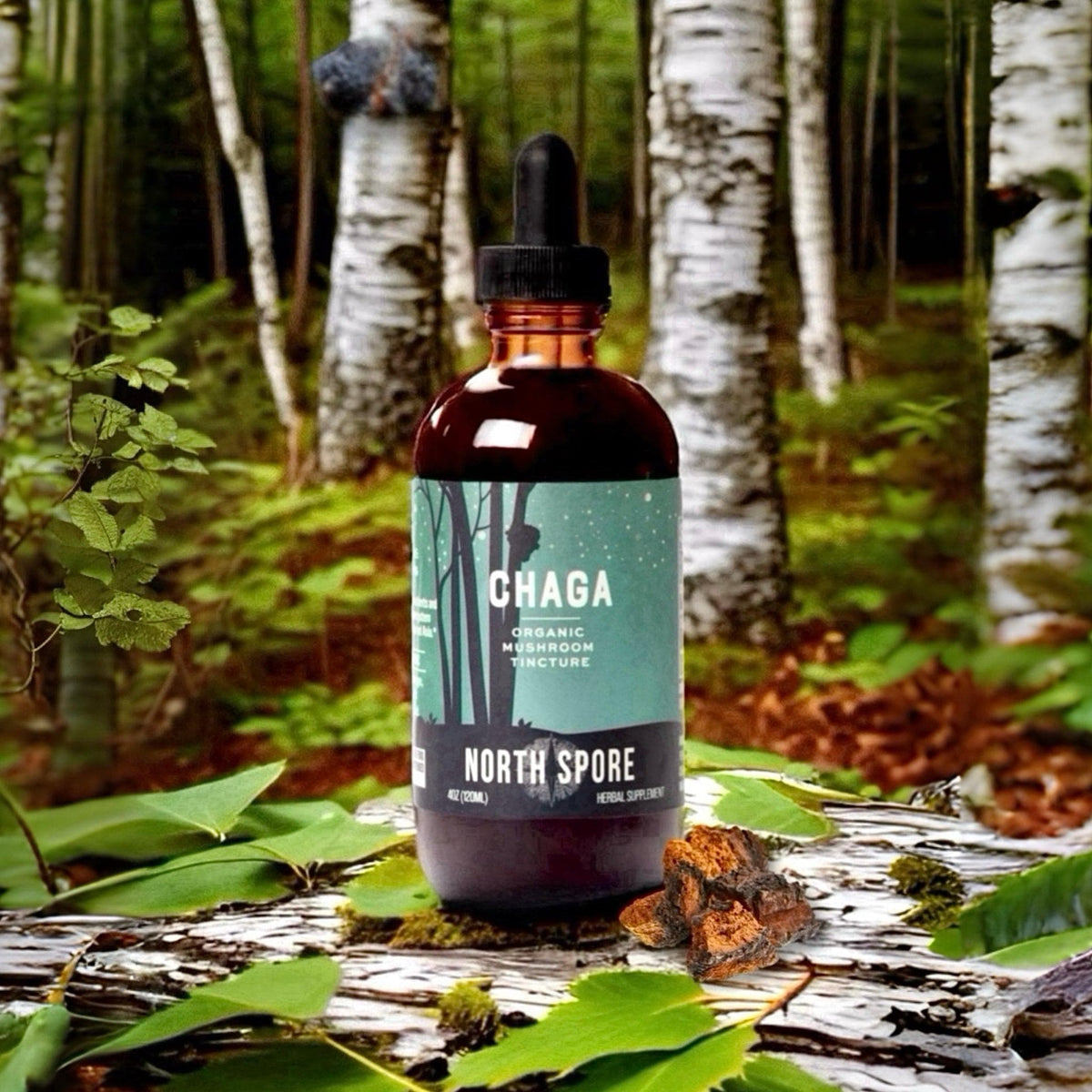 Organic Chaga Mushroom Tincture - BetterGrow Hydro