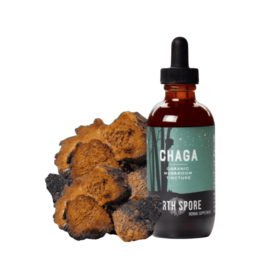 Organic Chaga Mushroom Tincture - BetterGrow Hydro