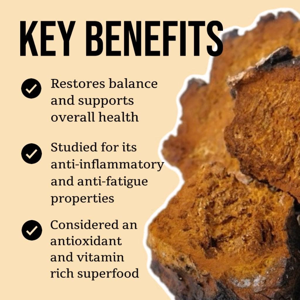 Organic Chaga Mushroom Tincture - BetterGrow Hydro