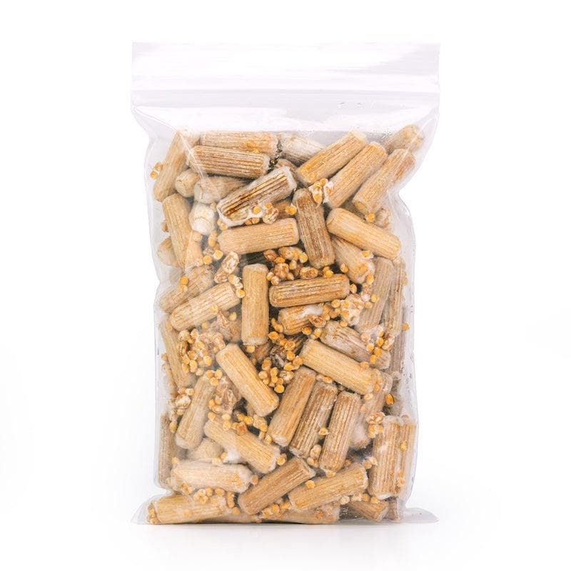 Organic Chestnut Mushroom Plug Spawn - BetterGrow Hydro