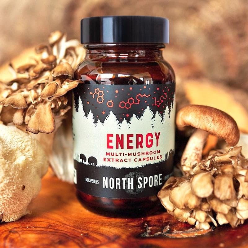 Organic ‘Energy’ Mushroom Capsules (High Potency) - BetterGrow Hydro