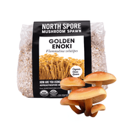 Organic Golden Enoki Mushroom Grain Spawn - BetterGrow Hydro