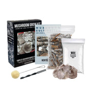 Organic Italian Oyster Mushroom Log Kit - BetterGrow Hydro