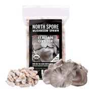 Organic Italian Oyster Mushroom Plug Spawn - BetterGrow Hydro