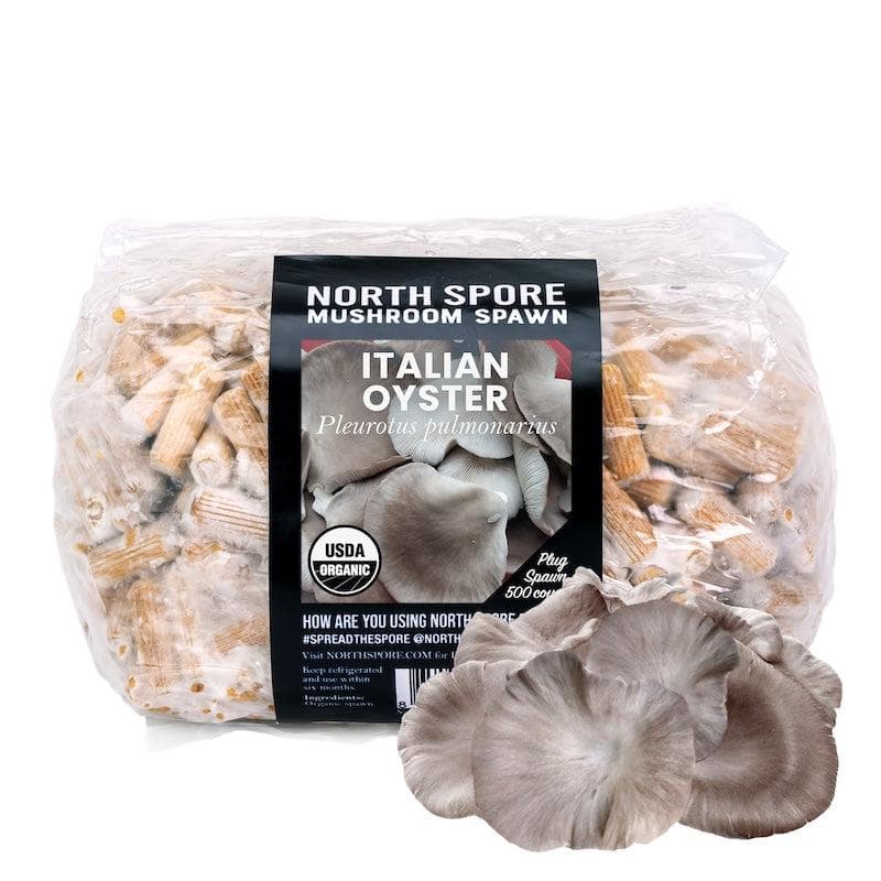 Organic Italian Oyster Mushroom Plug Spawn - BetterGrow Hydro