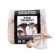 Organic King Trumpet Mushroom Grain Spawn - BetterGrow Hydro