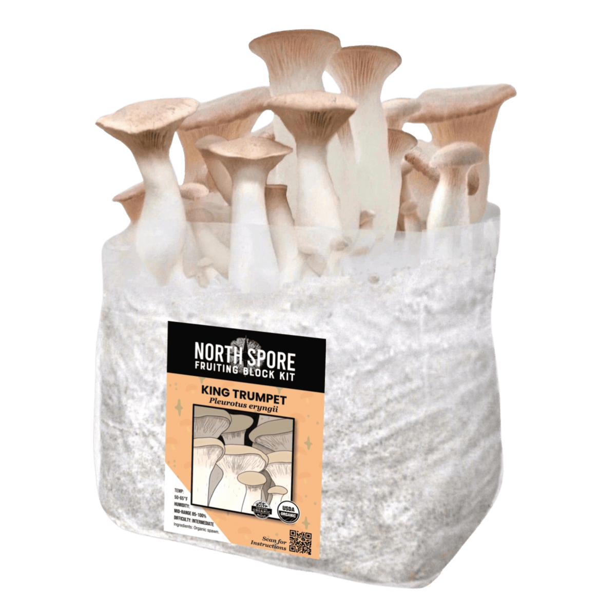 Organic King Trumpet Mushroom Grow Kit Fruiting Block - BetterGrow Hydro