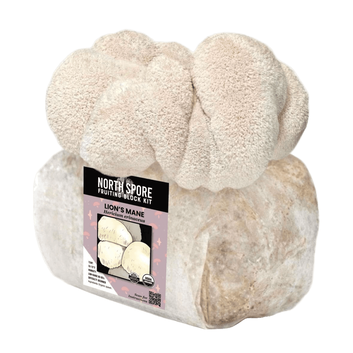 Organic Lion's Mane Mushroom Grow Kit Fruiting Block - BetterGrow Hydro
