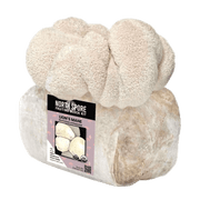 Organic Lion's Mane Mushroom Grow Kit Fruiting Block - BetterGrow Hydro