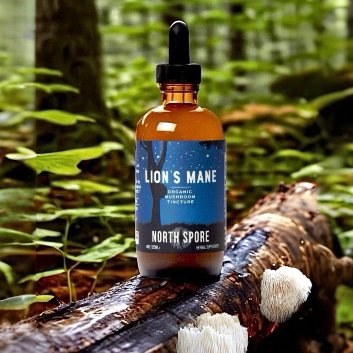 Organic Lion's Mane Mushroom Tincture - BetterGrow Hydro
