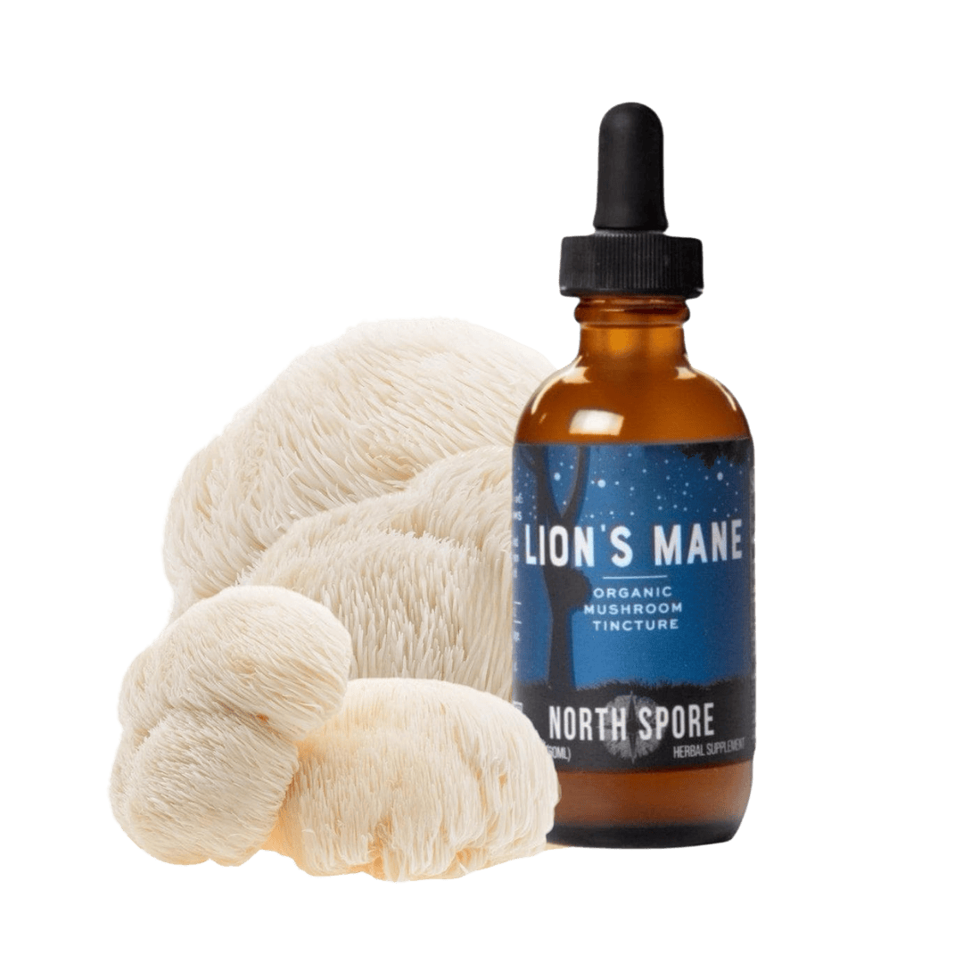 Organic Lion's Mane Mushroom Tincture - BetterGrow Hydro