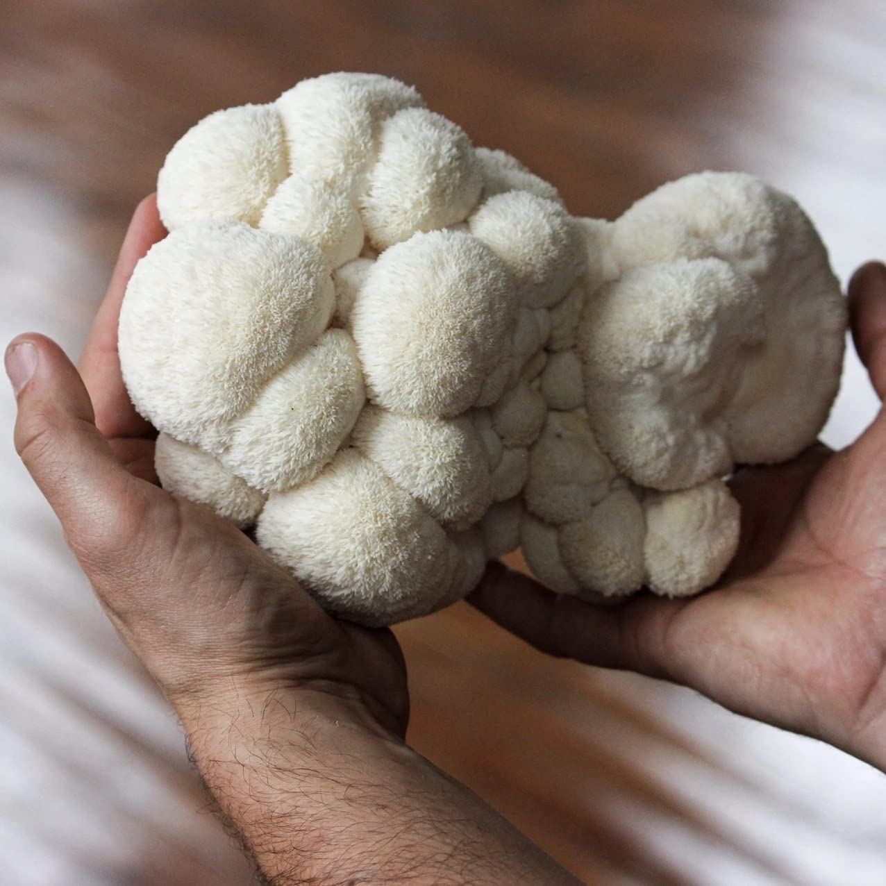Organic Lion's Mane ‘Spray & Grow’ Mushroom Growing Kit - BetterGrow Hydro