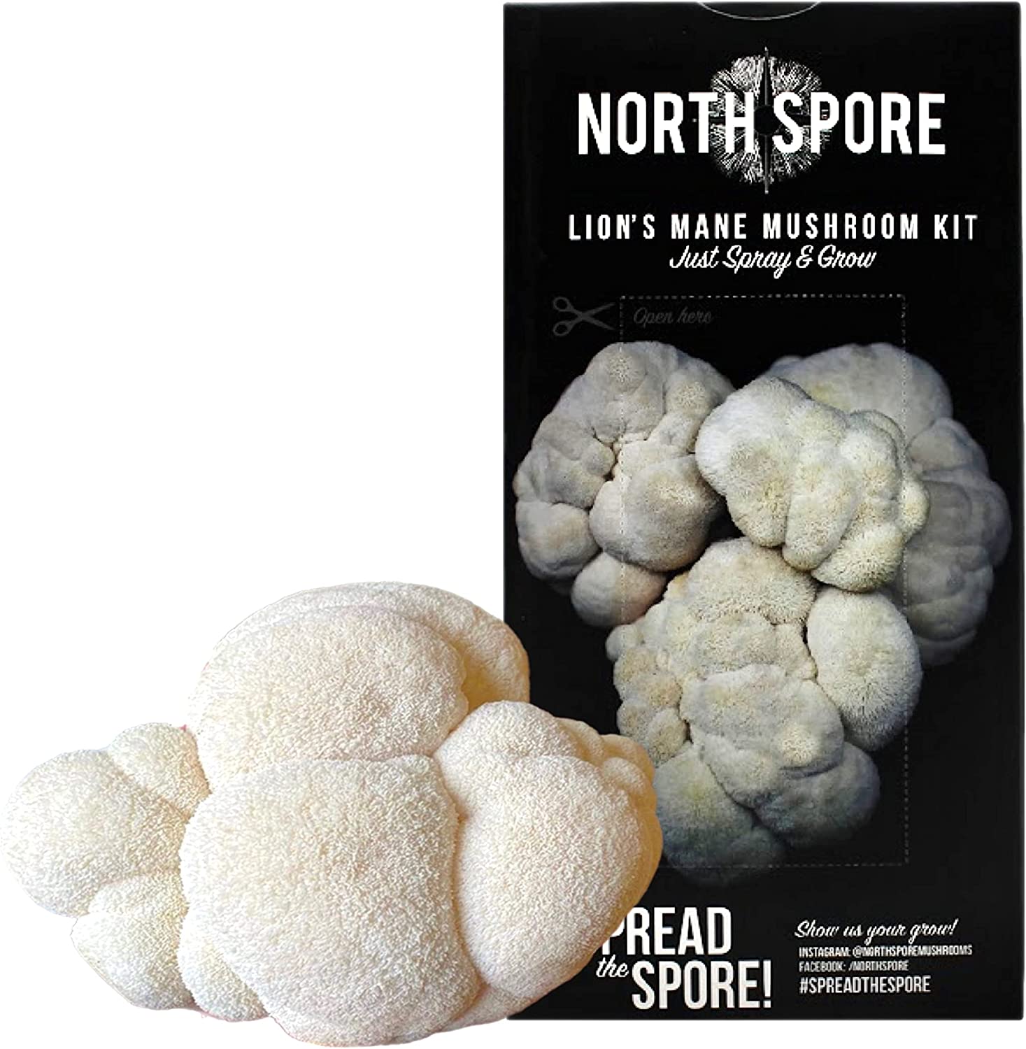 Organic Lion's Mane ‘Spray & Grow’ Mushroom Growing Kit - BetterGrow Hydro