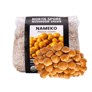 Organic Nameko Mushroom Grain Spawn - BetterGrow Hydro
